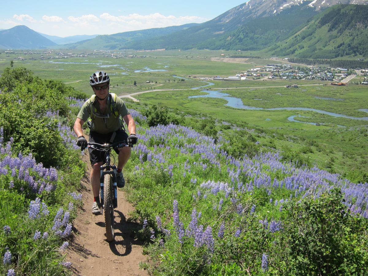 Purple Mountain Bed & Breakfast & Spa Crested Butte Kültér fotó