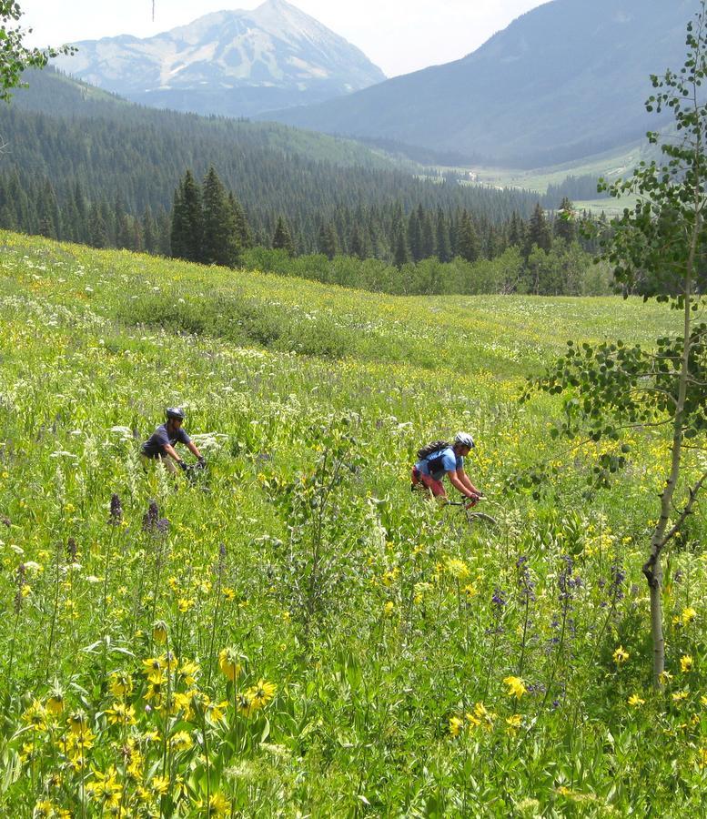 Purple Mountain Bed & Breakfast & Spa Crested Butte Kültér fotó